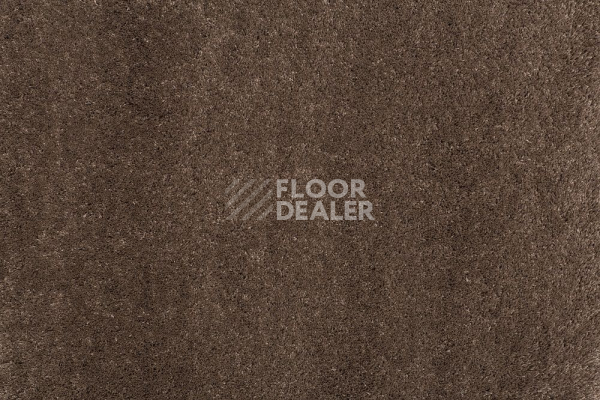 Ковролин Balta ITC Vensent 41 фото 1 | FLOORDEALER